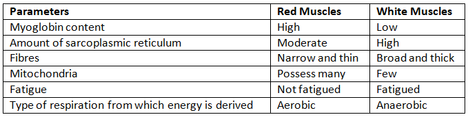 Locomotion & Movement NCERT Solutions | Biology Class 11 - NEET