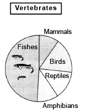 Biodiversity Conservation | Biology Class 12 - NEET