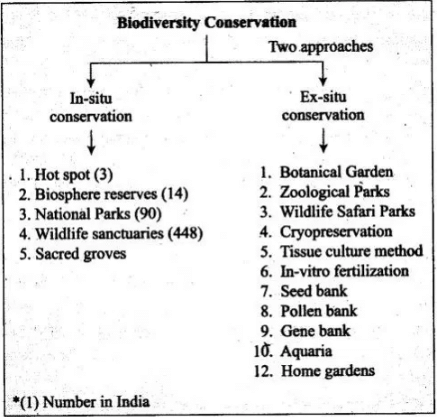 NCERT Exemplar: Biodiversity & its Conservation | Biology Class 12 - NEET