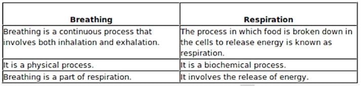 Key Notes: Breathing & Exchange of Gases - NEET
