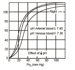 Oxyhaemoglobin Dissociation Curve