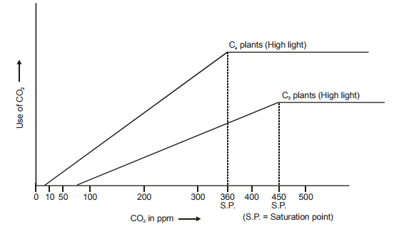 Photosynthesis: Site, Type & Factors Affecting | Biology for JAMB