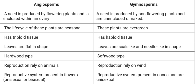 Detailed Notes: Angiosperms | Biology for ACT