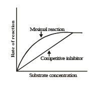 Enzymes & Factors Affecting Respiration | Biology for ACT