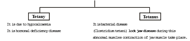 Cardiac Muscle Tissue | Additional Study Material for NEET