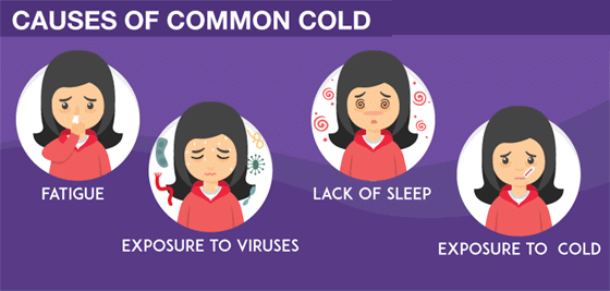 Common Diseases in Humans - 2 | Biology Class 12 - NEET