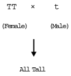 Inheritance of One Gene & Inheritance of Two Genes | Additional Study Material for NEET