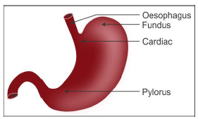 Class 11 Biology Sample Question Paper with Solution- 1 | Sample Papers for Class 11 Medical and Non-Medical - JEE