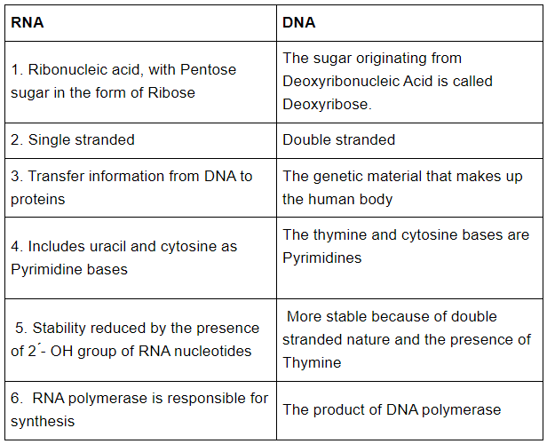 Biotechnology: Principles & Processes NCERT Solutions | Biology Class 12 - NEET