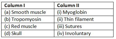 Locomotion & Movement NCERT Solutions | Biology Class 11 - NEET