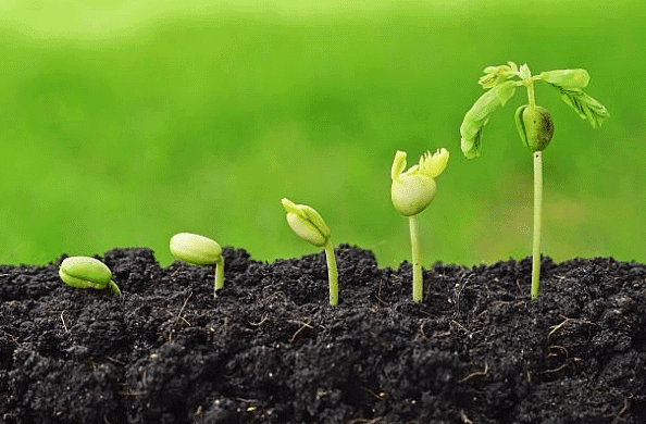 What is Living & its Characteristics | Biology Class 11 - NEET