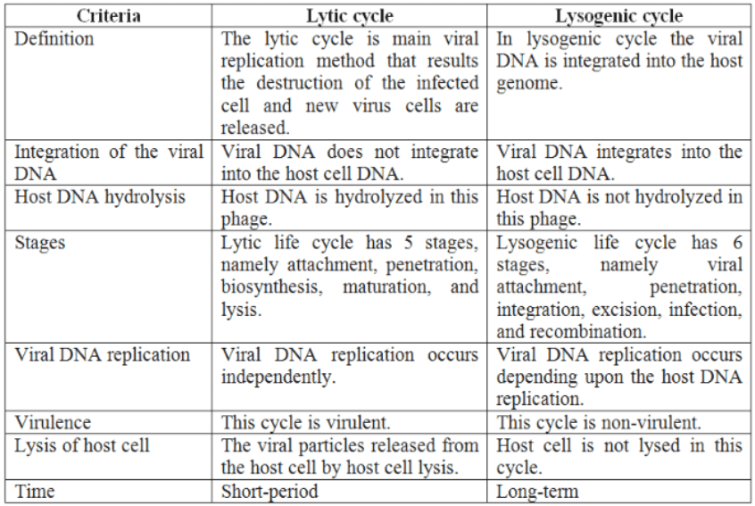 Viruses, Viroid, Prions & Lichens | Biology for JAMB