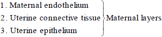 Implantation & Placenta | Biology for Grade 12