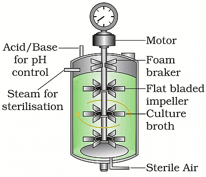 Important Diagrams: Biotechnology - Principles and Processes | Biology Class 12 - NEET