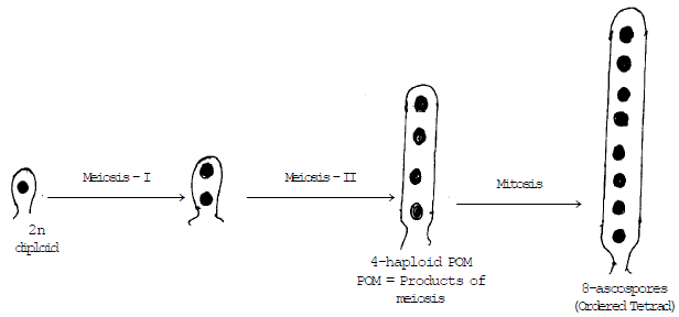 Genetics, Class 12, Biology | General Awareness - Bank Exams