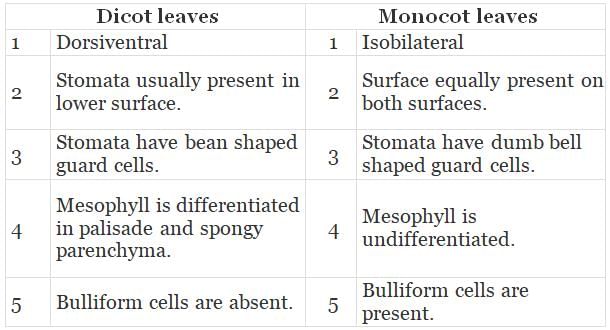NCERT Exemplar: Anatomy of Flowering Plants | Biology Class 11 - NEET