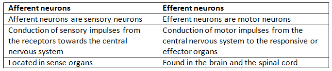 Neural Control & Coordination NCERT Solutions | Biology Class 11 - NEET