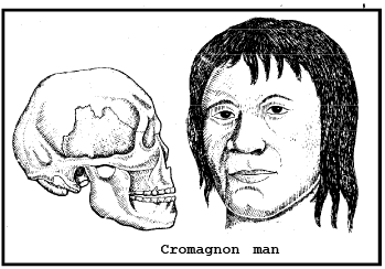 Human Evolution (Part - 2) - Notes, Botany, Class 12