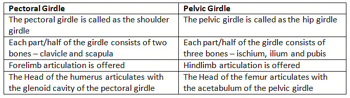 Locomotion & Movement NCERT Solutions | Biology Class 11 - NEET