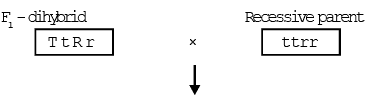 Inheritance of One Gene & Inheritance of Two Genes | Additional Study Material for NEET
