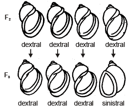 Genetics, Class 12, Biology | General Awareness - Bank Exams