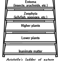 Origin of Life (Part - 2) - Notes, Botany, Class 12