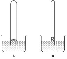 NCERT Exemplar: Transport in Plants (Old NCERT) | Biology for Grade 11