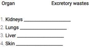 NCERT Exemplars: Excretory Products & their Elimination | Biology Class 11 - NEET