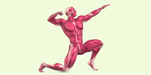 Movement & Its Types | Science & Technology for UPSC CSE