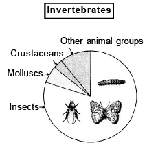 Biodiversity Conservation | Biology Class 12 - NEET