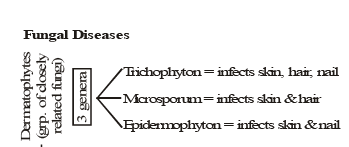 Chromosomal Mutational Disorder & Chart of Diseases | Additional Study Material for NEET