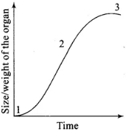 NCERT Exemplars: Plant Growth & Development | Biology Class 11 - NEET