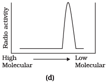 NCERT Exemplar: Molecular Basis of Inheritance - 2 | Biology Class 12 - NEET