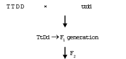 Gene Interaction | Additional Study Material for NEET
