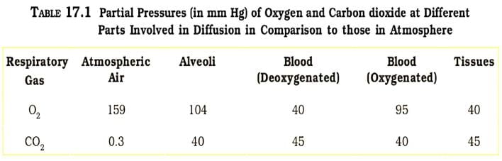 Key Notes: Breathing & Exchange of Gases - NEET