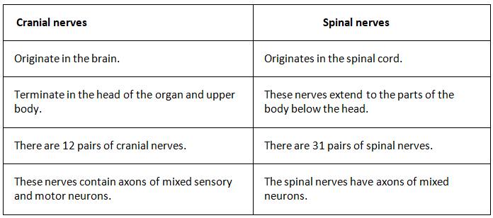 Long Answer Type Questions
