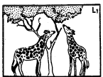 Theories of Organic Evolution (Part - 1) - Notes, Botany, Class 12