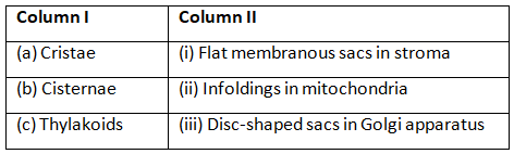 Cell: The Unit of Life NCERT Solutions | Biology Class 11 - NEET