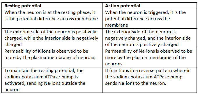 Neural Control & Coordination NCERT Solutions | Biology Class 11 - NEET