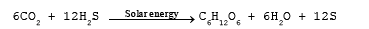 Origin of Life (Part - 2) - Notes, Botany, Class 12
