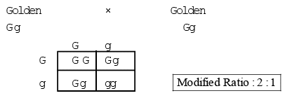 Gene Interaction | Additional Study Material for NEET