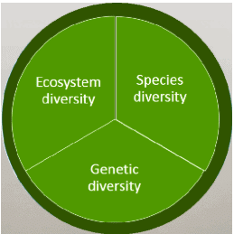 Fig: Components of Biodiversity