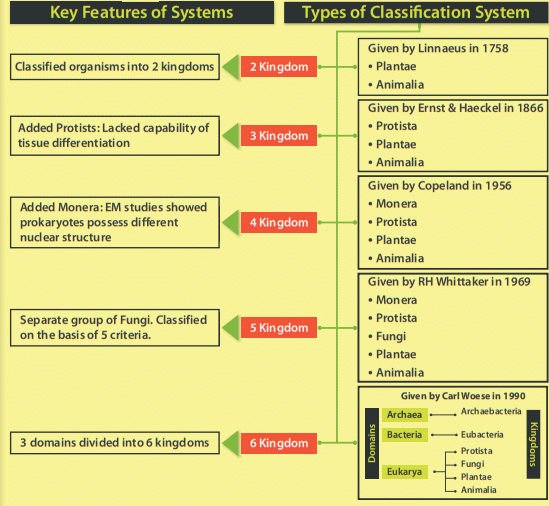 Overview: Biological Classification | Additional Study Material for NEET