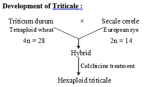 Hybridization | Additional Study Material for NEET