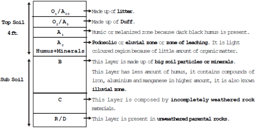 Abiotic Factors & Responses to Abiotic Factors | Biology for JAMB