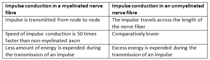 Neural Control & Coordination NCERT Solutions | Biology Class 11 - NEET