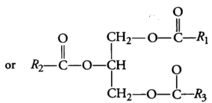Biomolecules & Its Types | Biology Class 11 - NEET