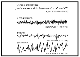 EEG & ECG: Human Health & Diseases | Additional Study Material for NEET