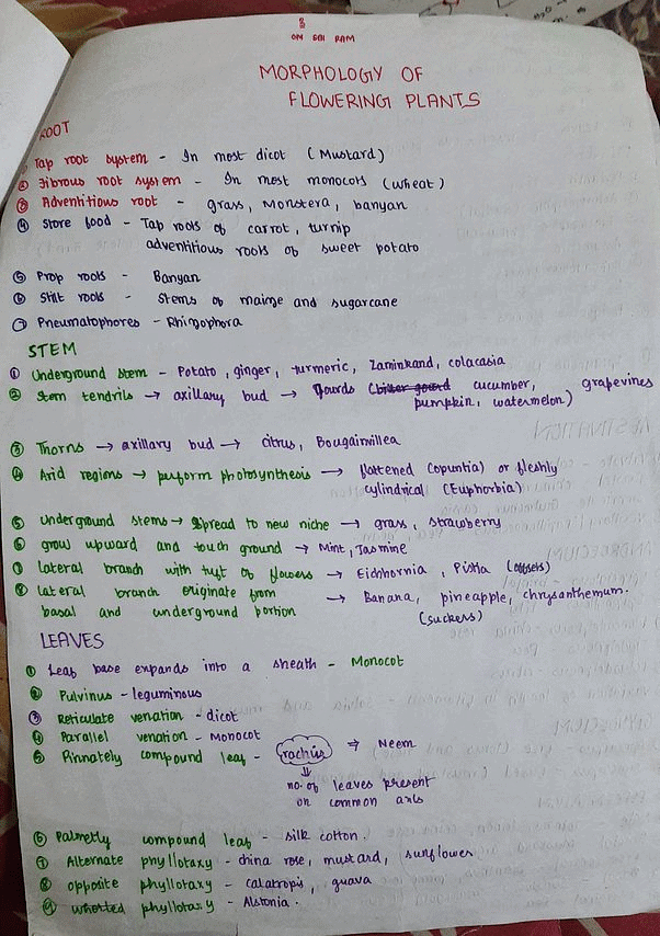 Sample notes of Morphology of Flowering Plants