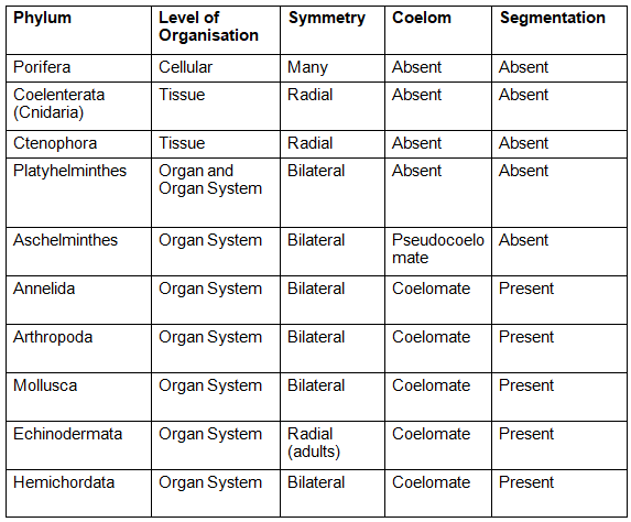 Most Important Diagrams Class 11 Biology (Zoology) for NEET 2026 Biology Exam Preparation